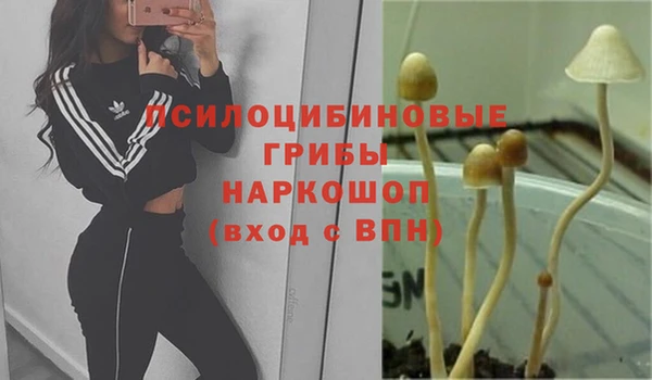 ALPHA PVP Баксан