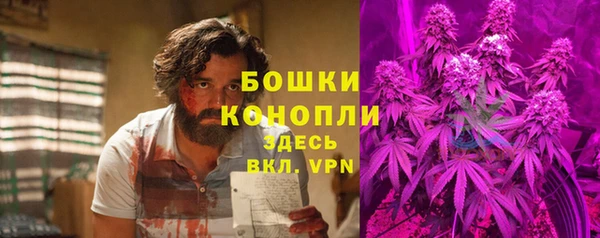 шишки Балабаново