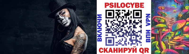 Псилоцибиновые грибы Psilocybe Шагонар
