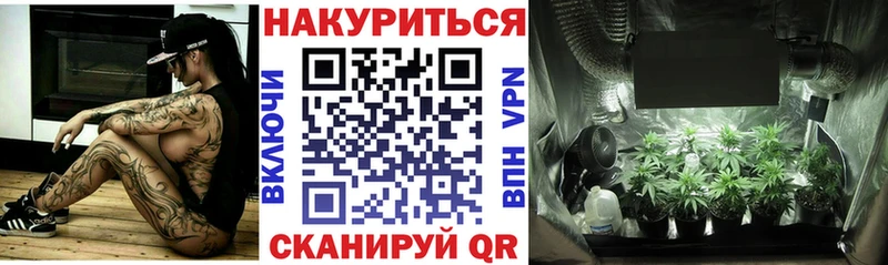 Бошки Шишки LSD WEED Шагонар